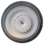 Berkley Powerbait Natural Scent Garlic